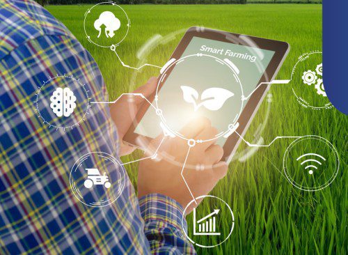 ISRAELI AGRIFOOD-TECH & WATER-TECH SECTORS CONCLUDE RECORD-BREAKING YEAR