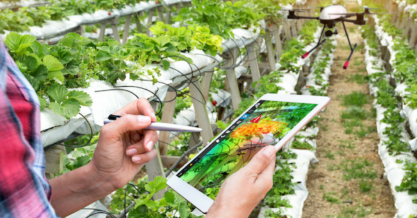 Growing Agritech – Not What You Might Expect