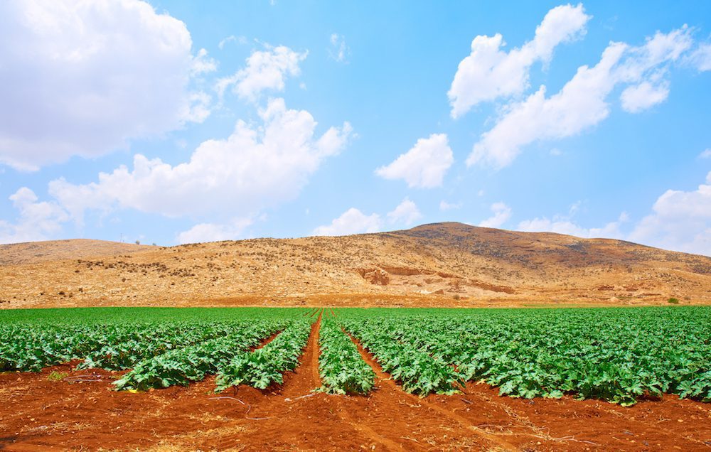 Israeli Agritech: A Force [of Nature] to be Reckoned With 